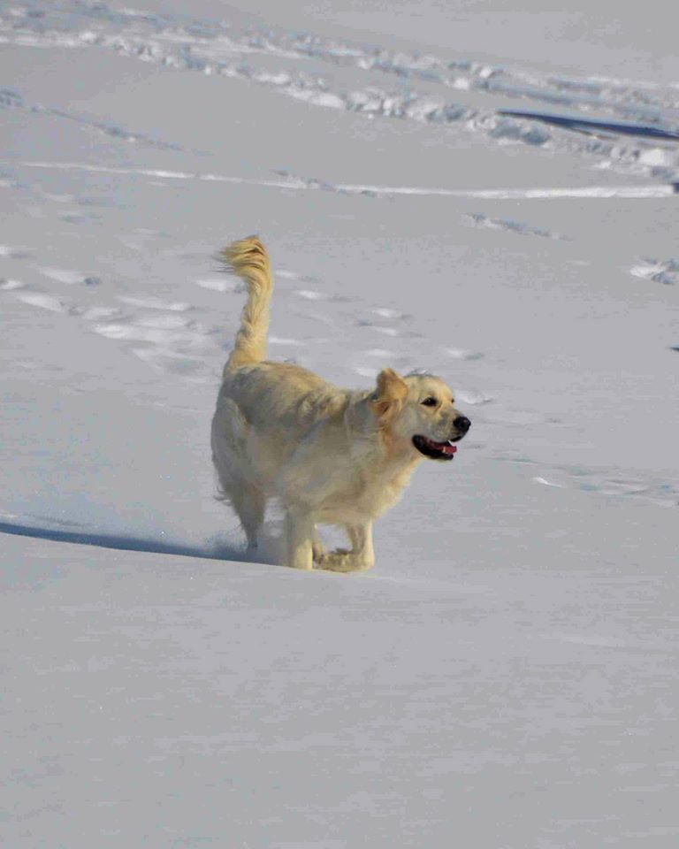 Kylie in Alaska